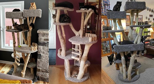 Cat trees