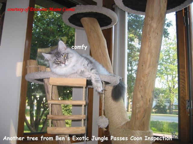 Exotic Cat Jungles - Home Page 